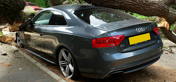 İş Yeri Sigortası: Küçük İşletmeler İçin Neden Önemlidir?