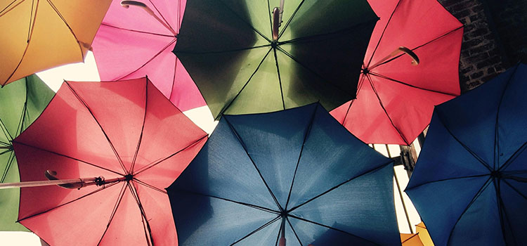 Sigorta Aracılığıyla Kapsamlı Koruma