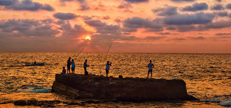 Kocaeli’de Sigorta Acentası Arayanlar İçin Kapsamlı Rehber