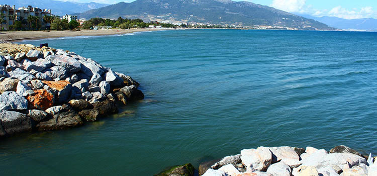 Mersin’de Sigorta Acentası Arayanlar İçin Kapsamlı Rehber